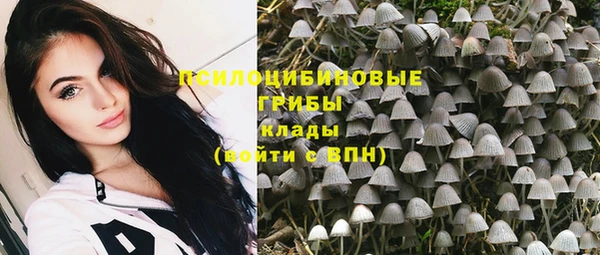 spice Волоколамск
