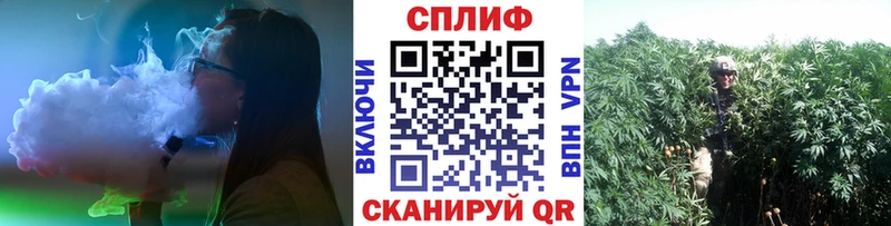 Конопля MAZAR  Отрадный 